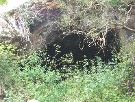 otta Intraleo-20100515 045